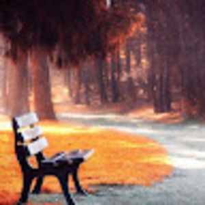 Meet your Posher, Za